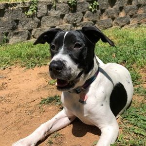 Meet your Posher, Ashlee